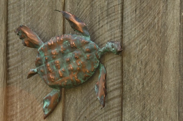 Turtle - Large by Natalie Brown