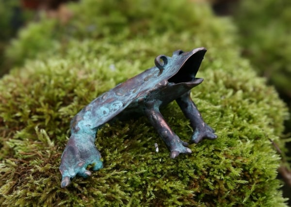 Toad by Natalie Brown