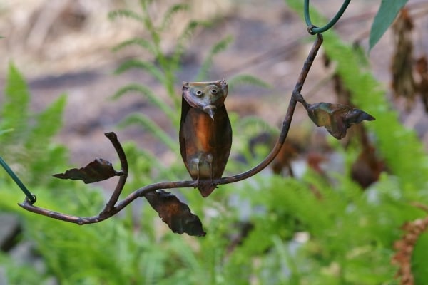 Owl on a Branch by Natalie Brown