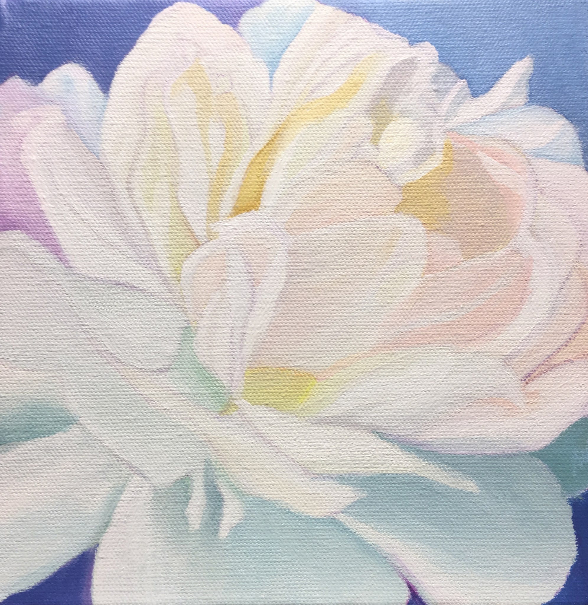 Sleepy Rose by M.F.G. BURT
