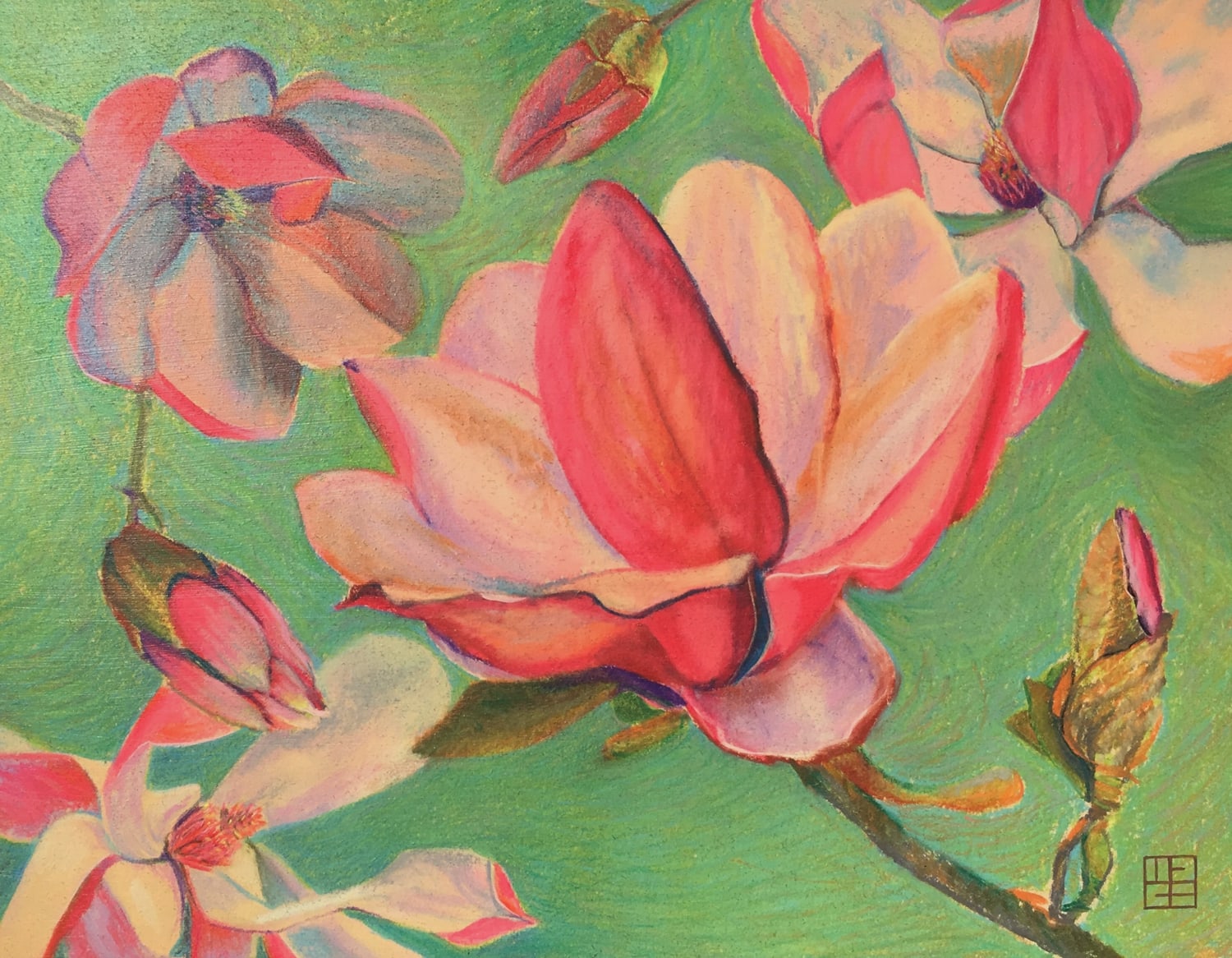 Japanese Magnolia Blossoms by M.F.G. BURT