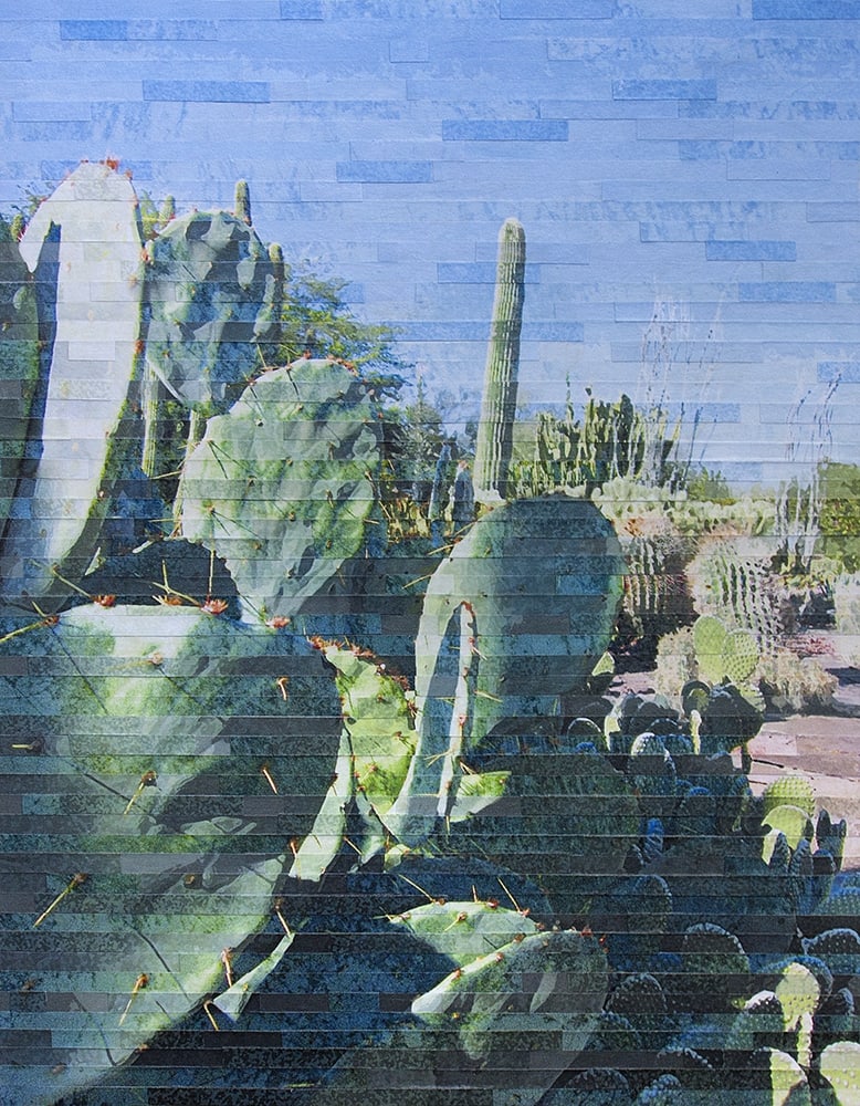 Garden of Prickly Delights by Lori Reed