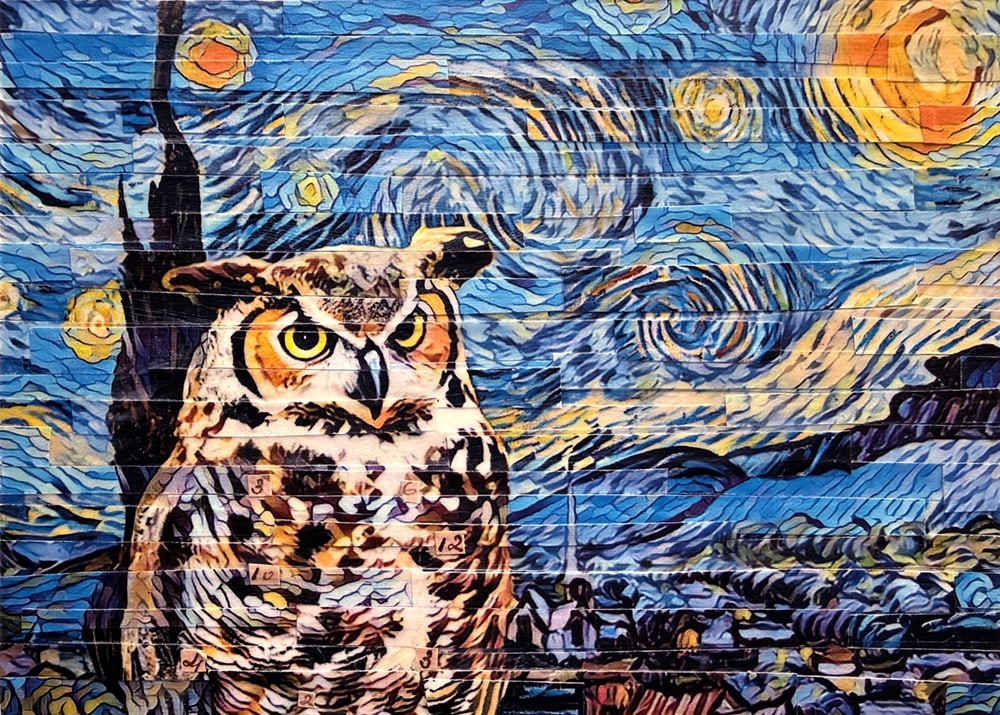 Night Owl by Lori Reed