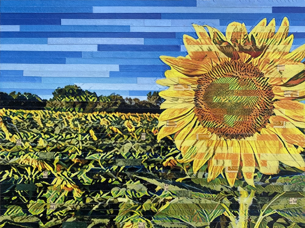 Greeting the Sun by Lori Reed