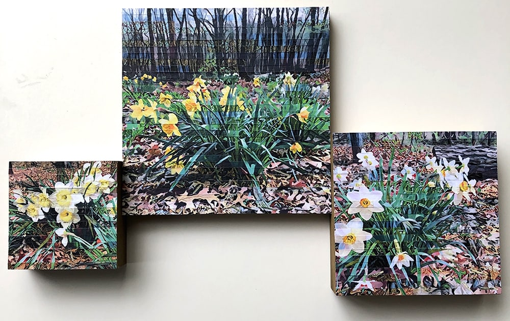 Spring's First Gifts by Lori Reed