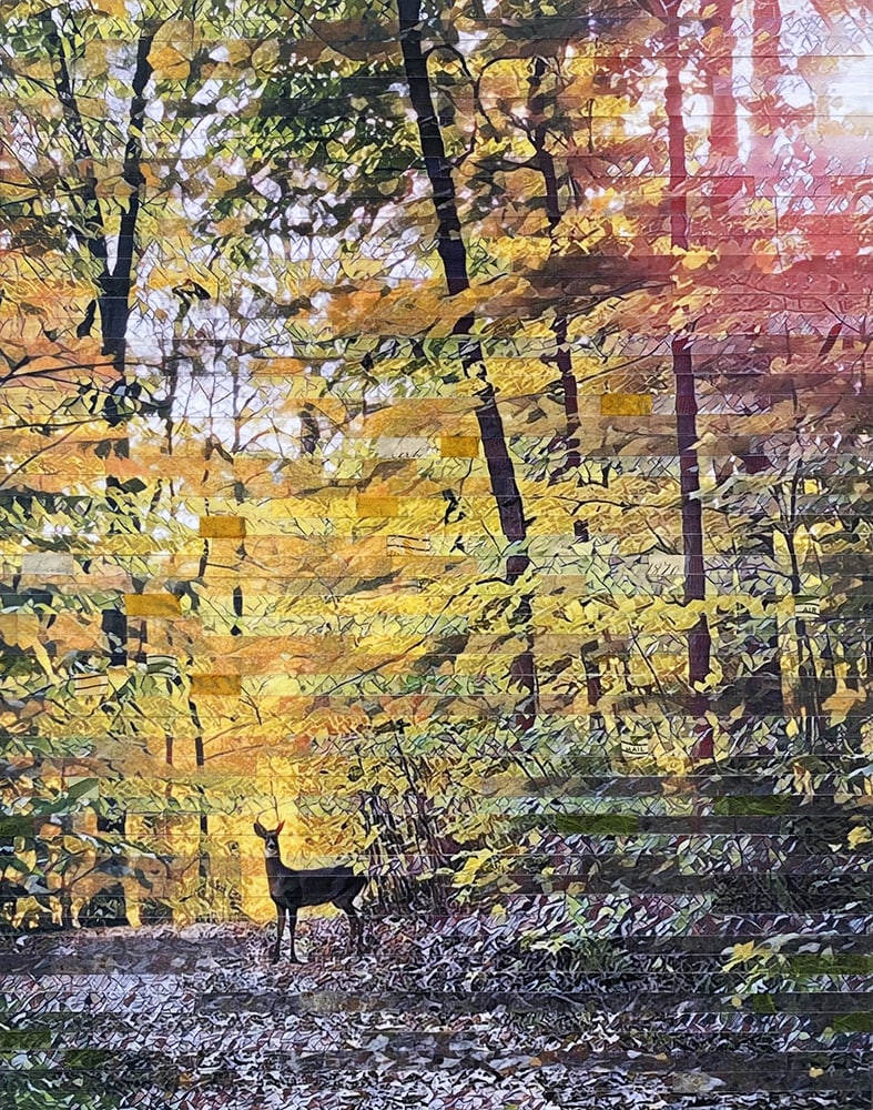 Trail Traveler by Lori Reed