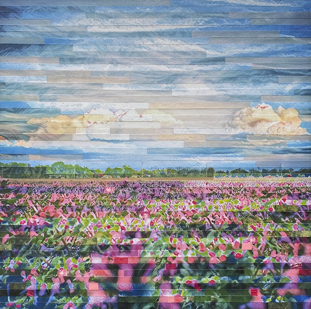 Field Notes by Lori Reed