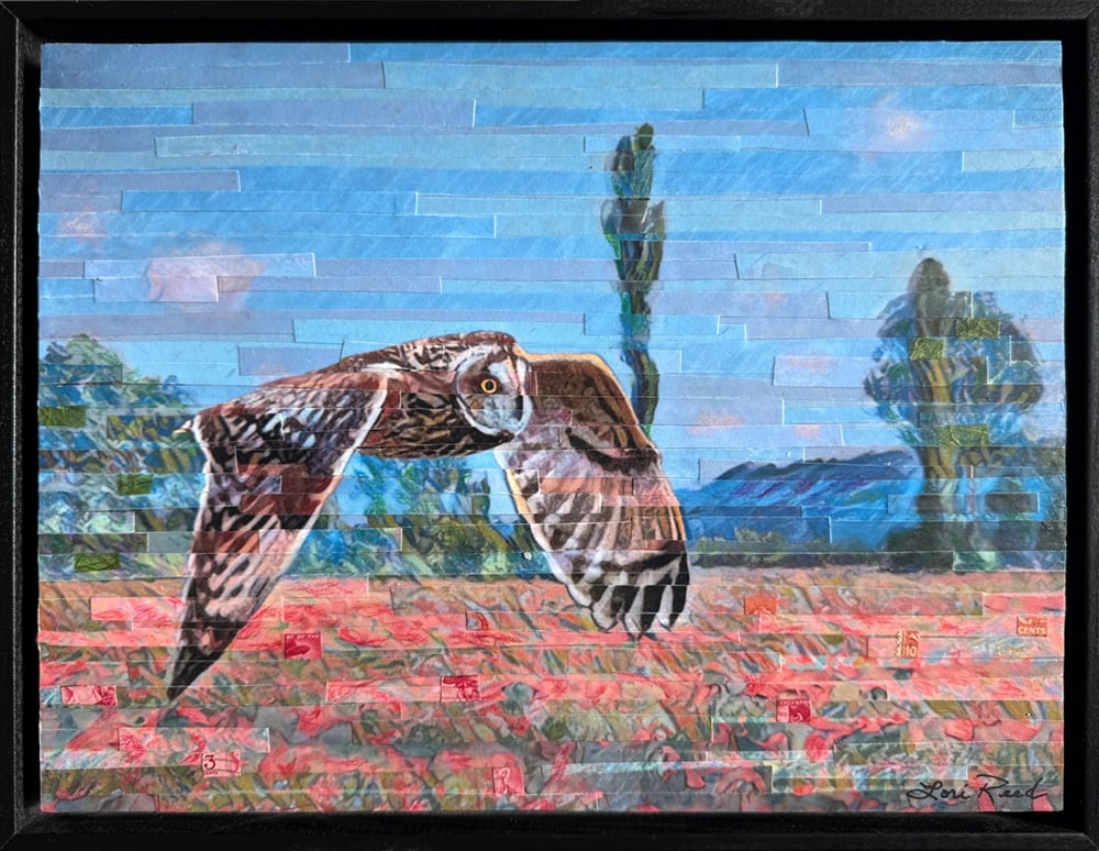 Glide Path by Lori Reed