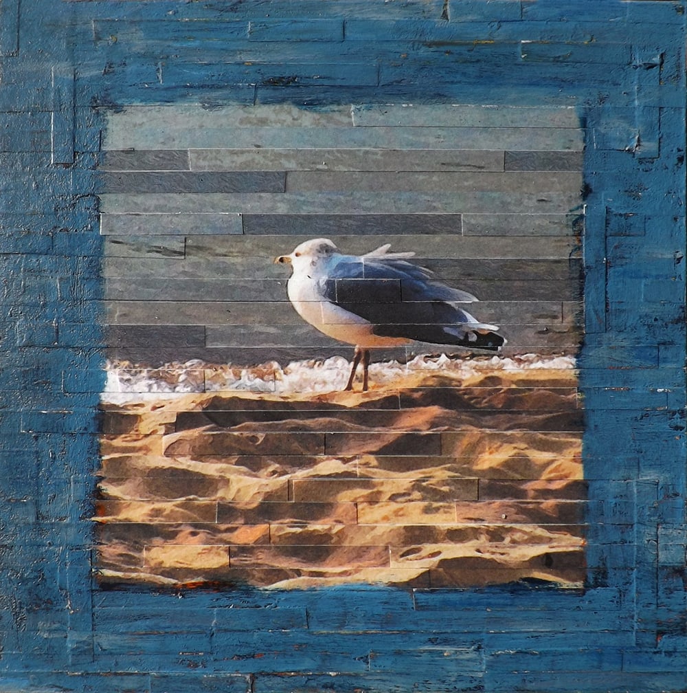 Sunset Gull by Lori Reed
