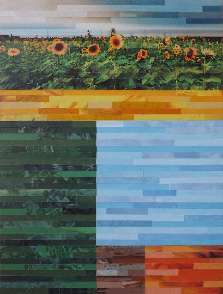 Seeding Joy by Lori Reed
