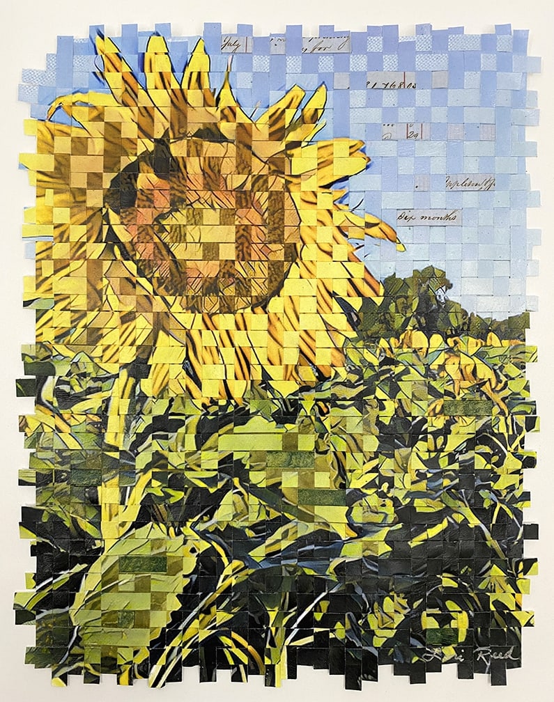 Sun King by Lori Reed