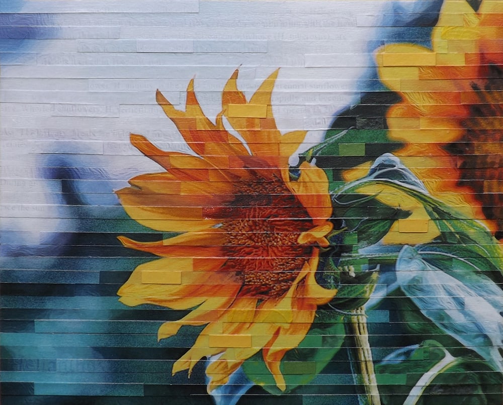 Sun Seeker by Lori Reed