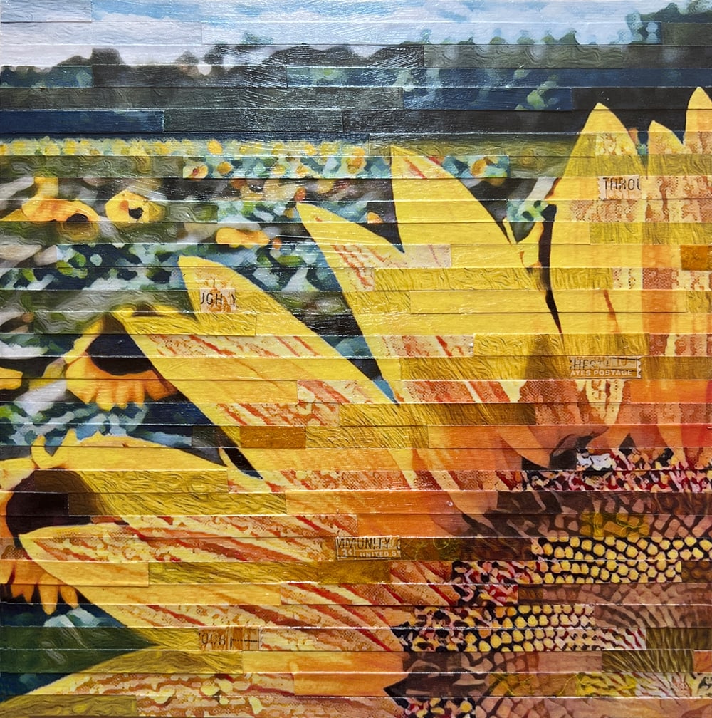 Sunflower Sunset by Lori Reed