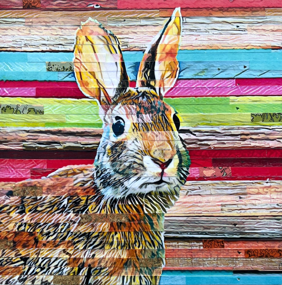 Wabbit by Lori Reed