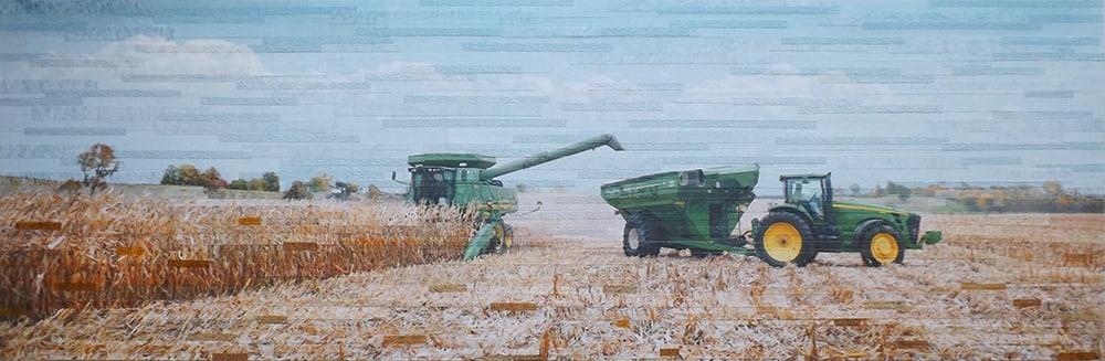 Hawkins Harvest by Lori Reed