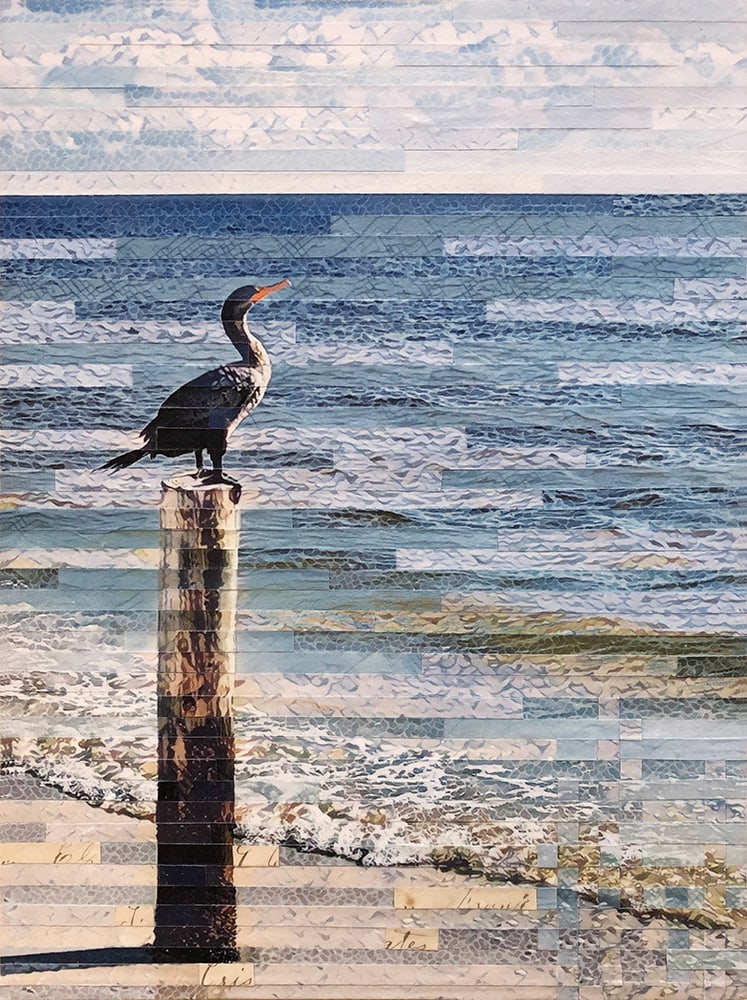 Contemplation of the Cormorant by Lori Reed