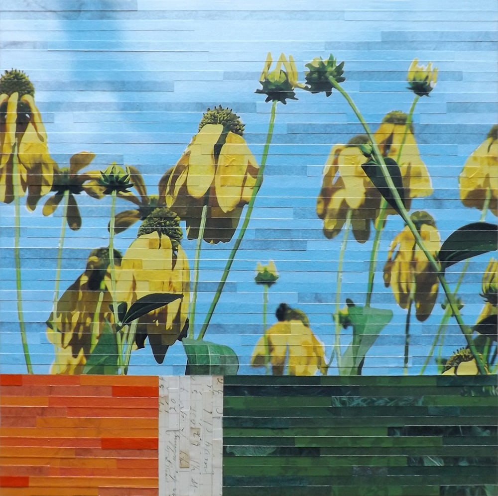 Fields of Color by Lori Reed