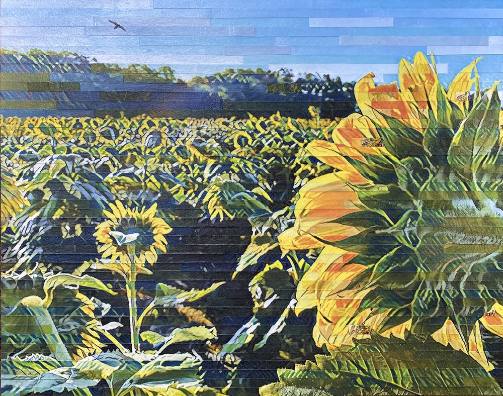 Fields of Gold by Lori Reed
