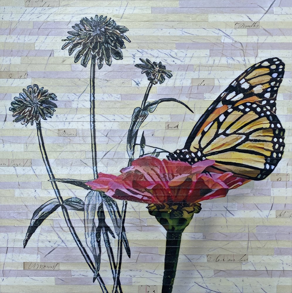 Nature Study by Lori Reed