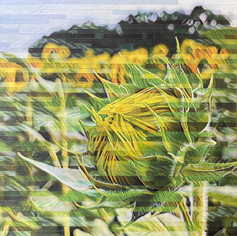Unfolding by Lori Reed