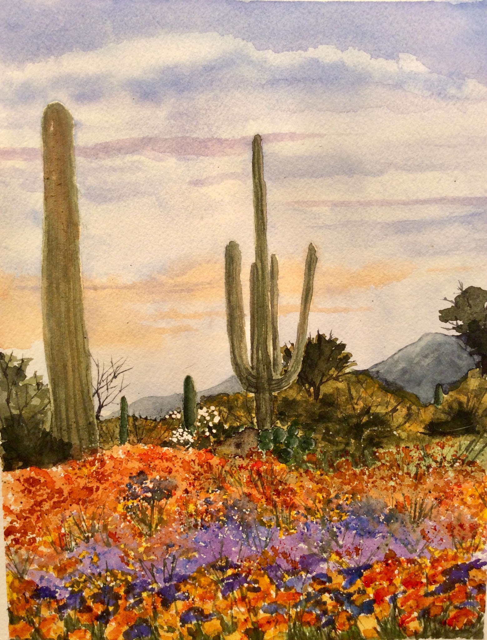 Desert in Bloom by Cydney J. Steeb