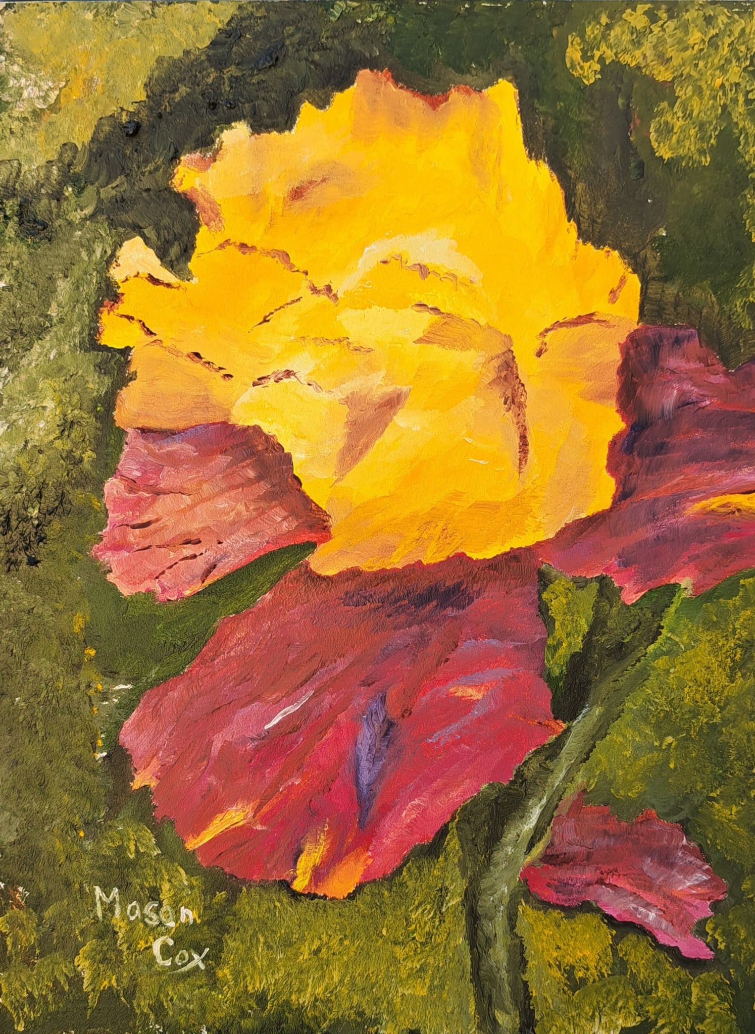 Yellow & Brown Bearded Iris by Mason Cox