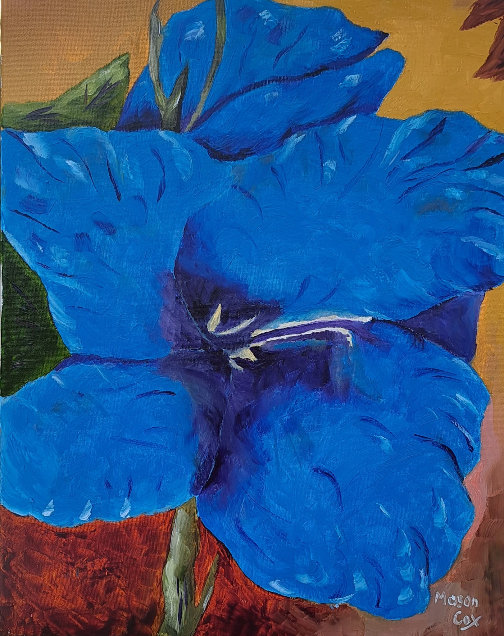 Blue Gladiolus by Mason Cox