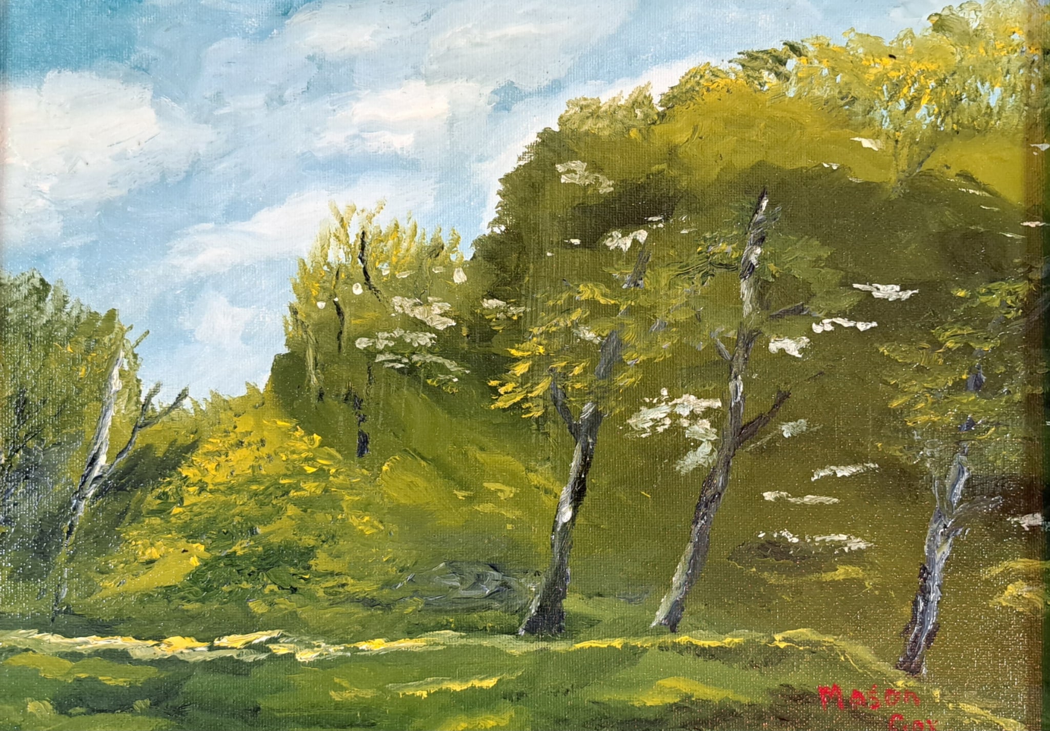 Back Yard by Mason Cox