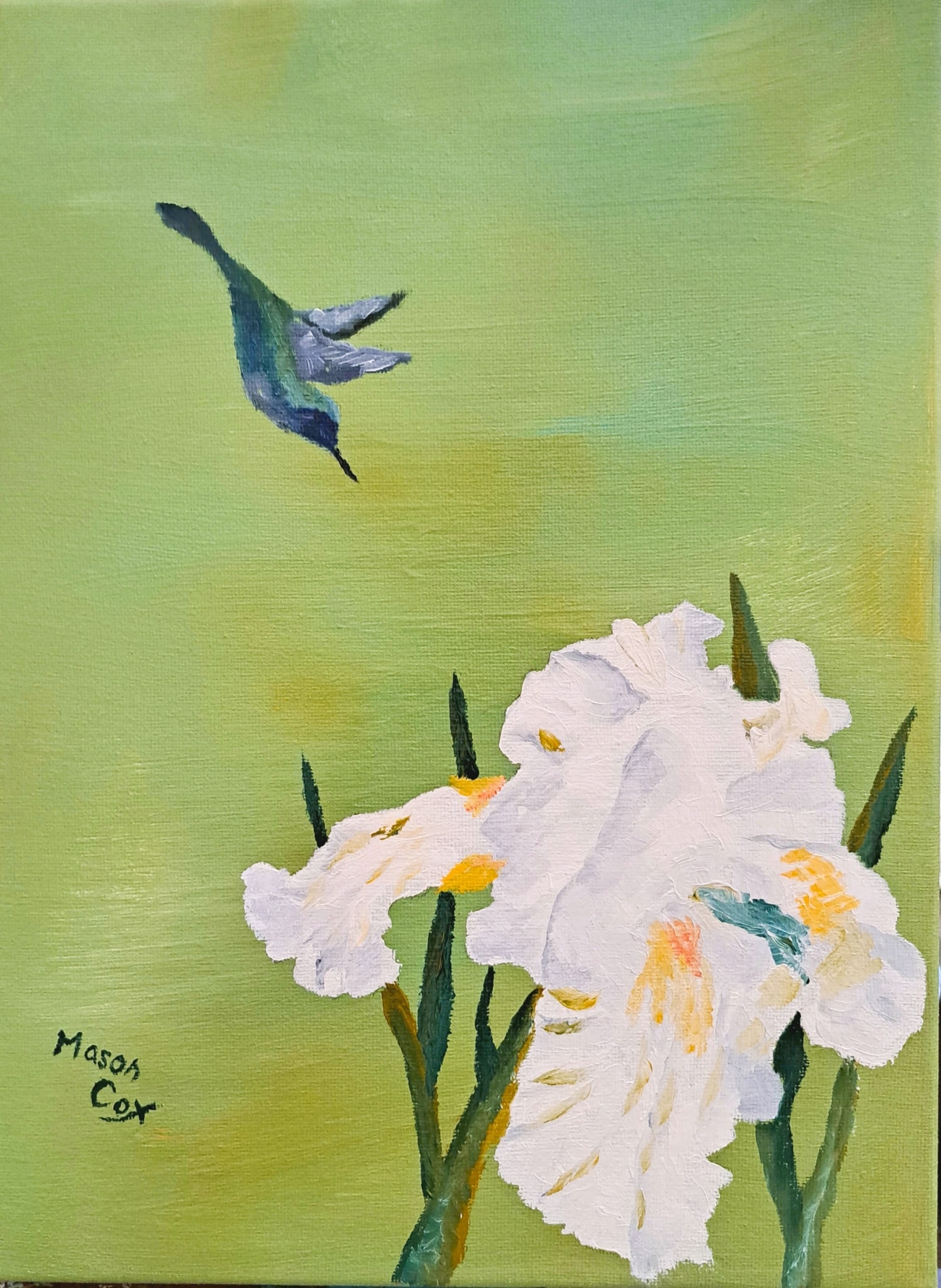 White Iris (green) by Mason Cox