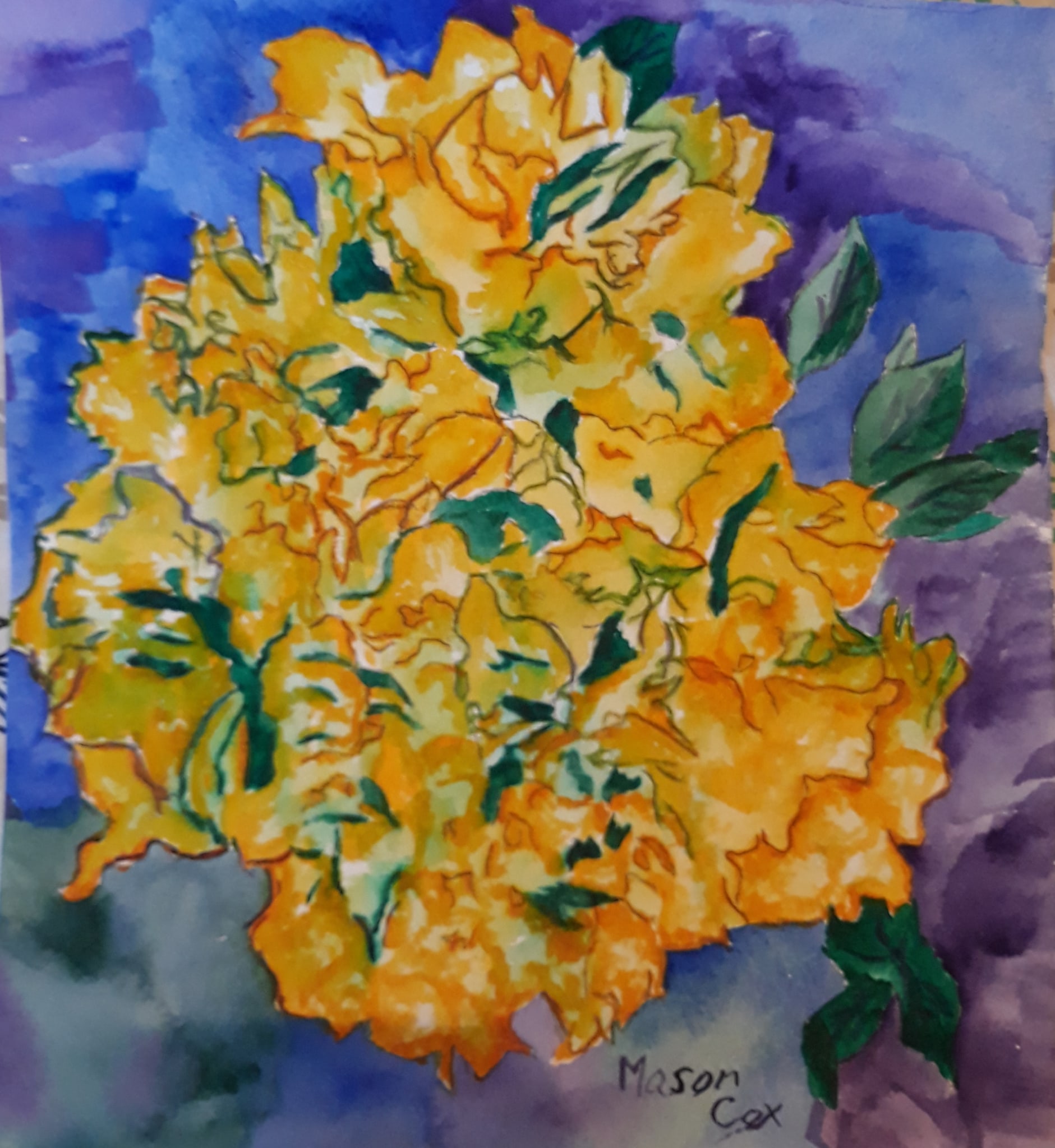 Yellow Bougainvillea by Mason Cox