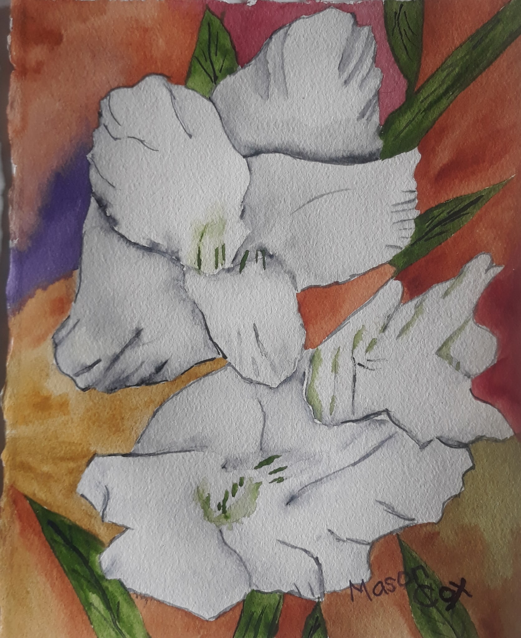 White Gladiolus 2 by Mason Cox