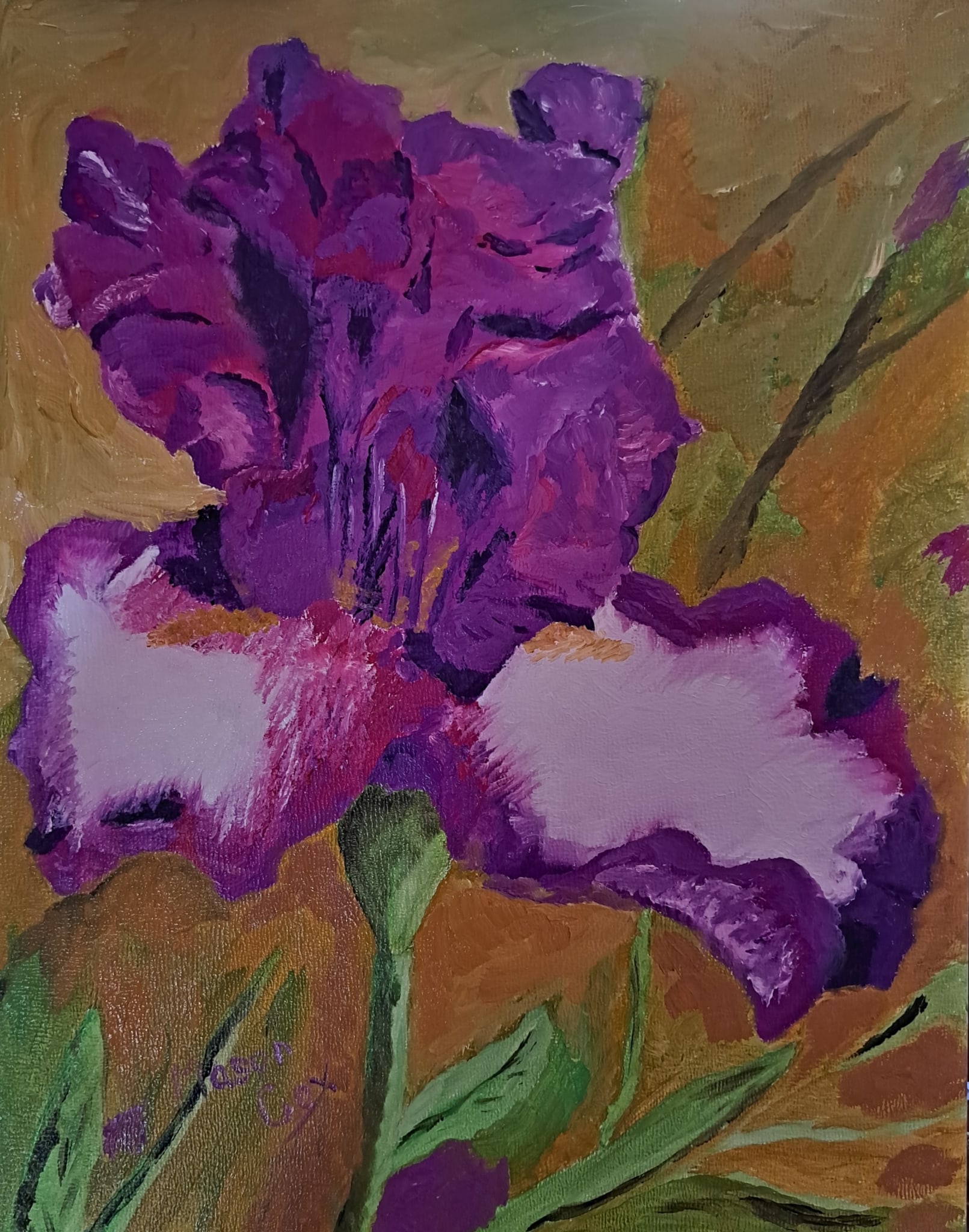 Magenta iris by Mason Cox