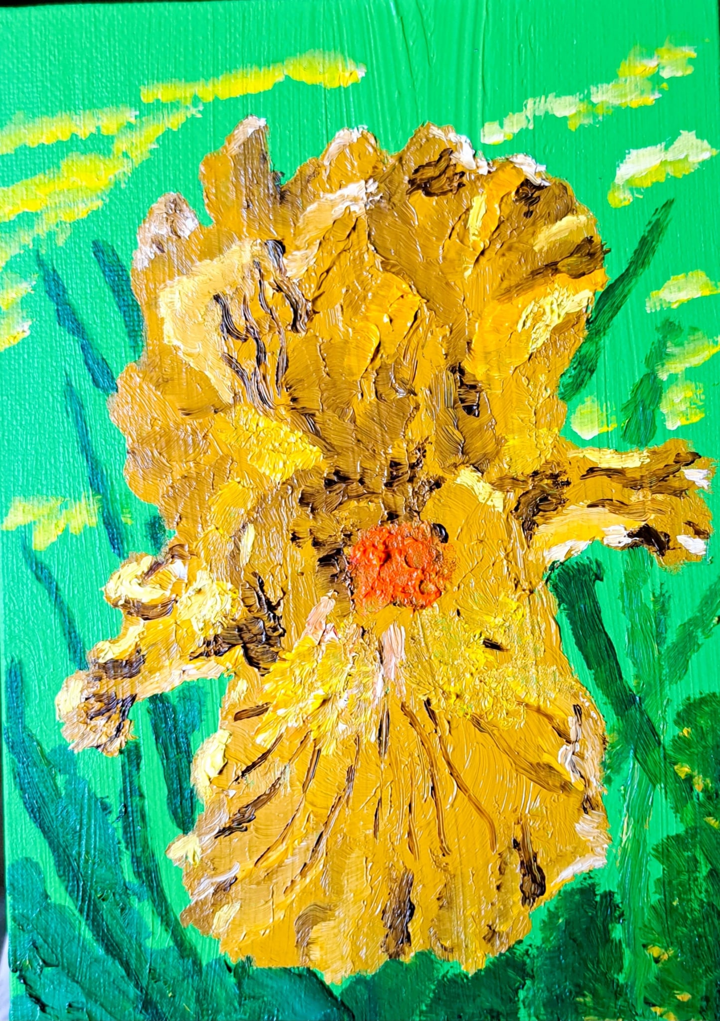 yellow iris by Mason Cox