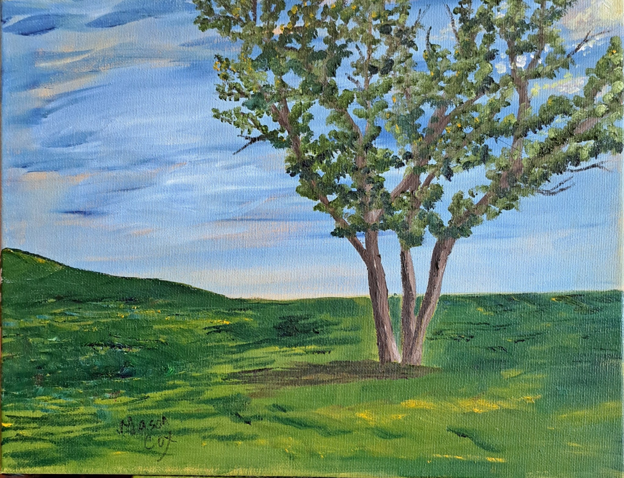 One Tree by Mason Cox