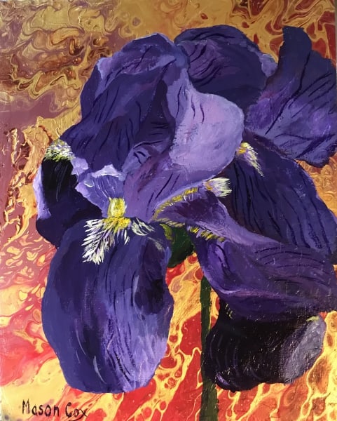 Purple Iris by Mason Cox