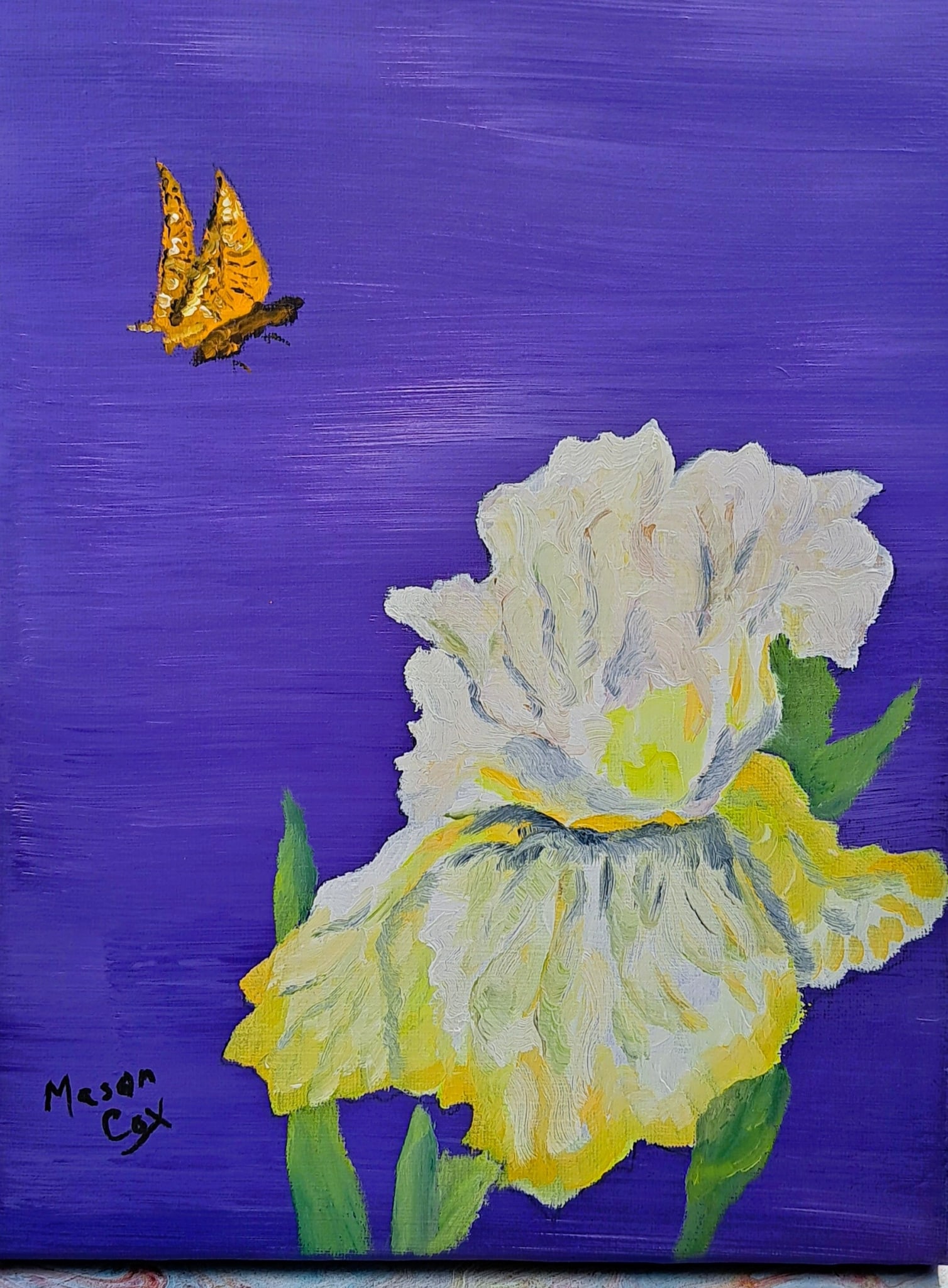 White Iris Yellow by Mason Cox