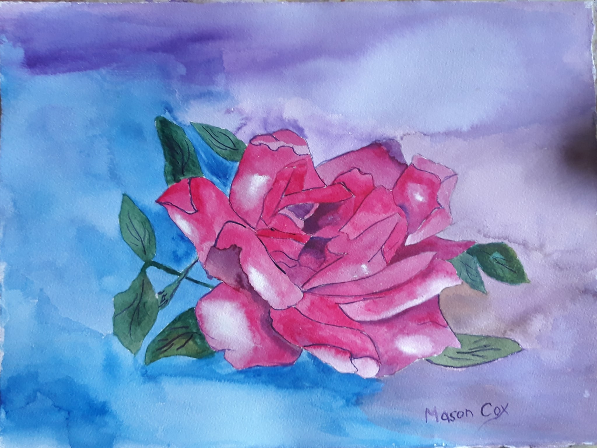 The Pink Rose by Mason Cox
