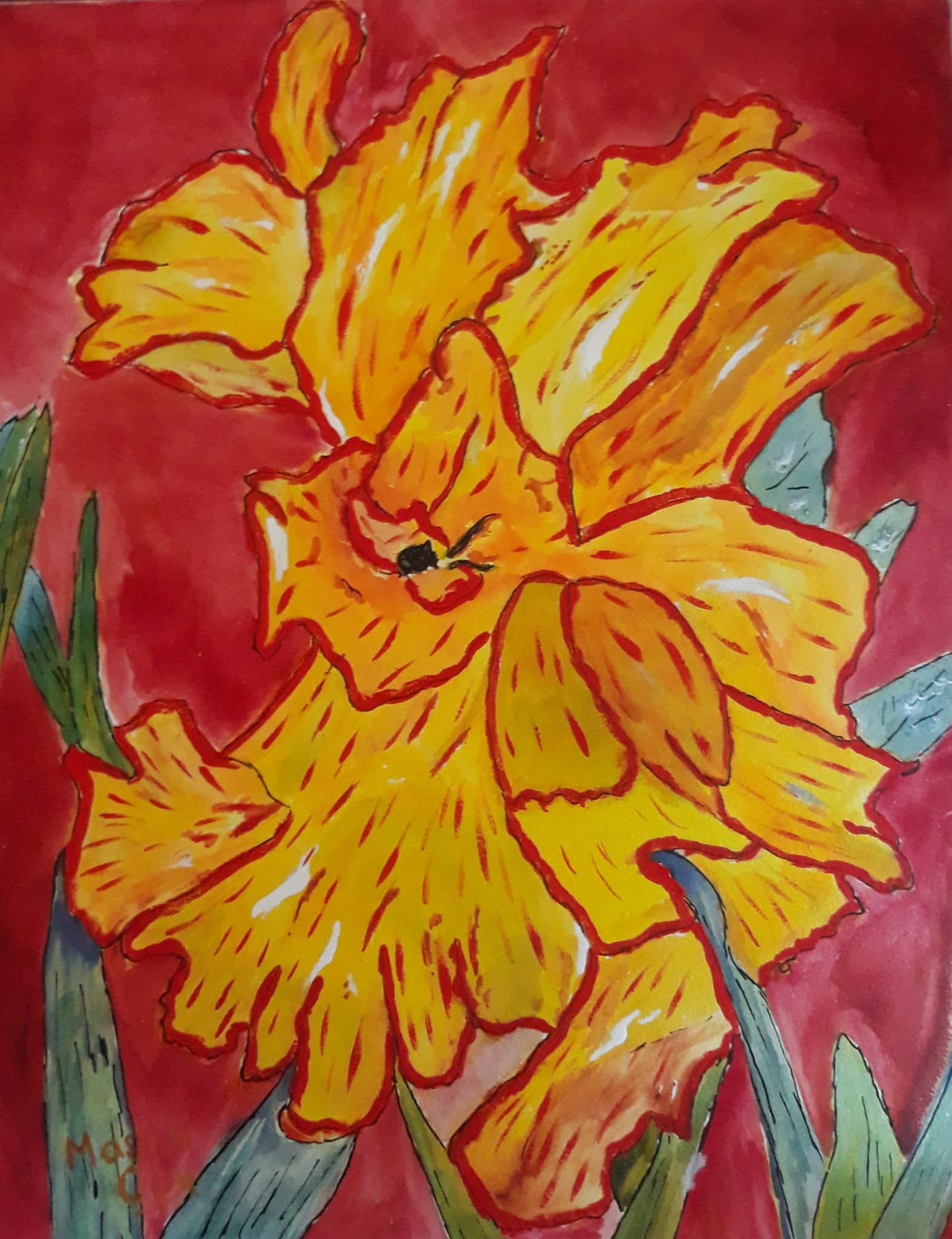 Yellow Iris by Mason Cox