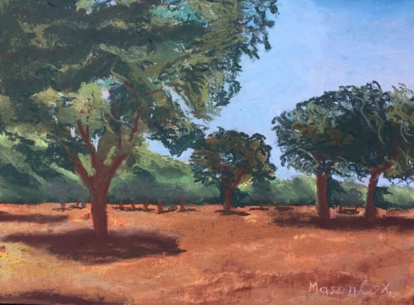 Summer Days in Texas by Mason Cox