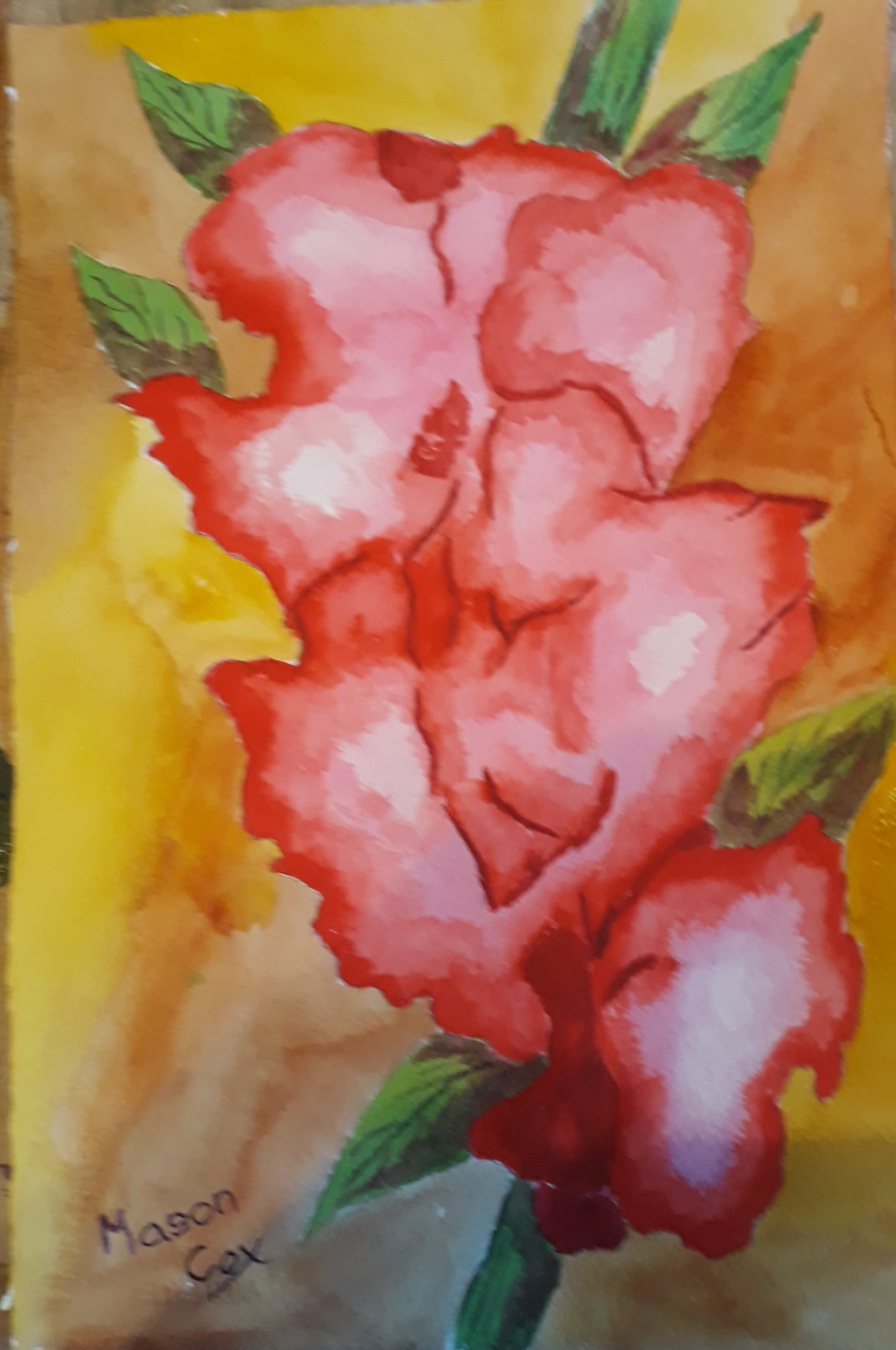 Pink Gladiolus by Mason Cox