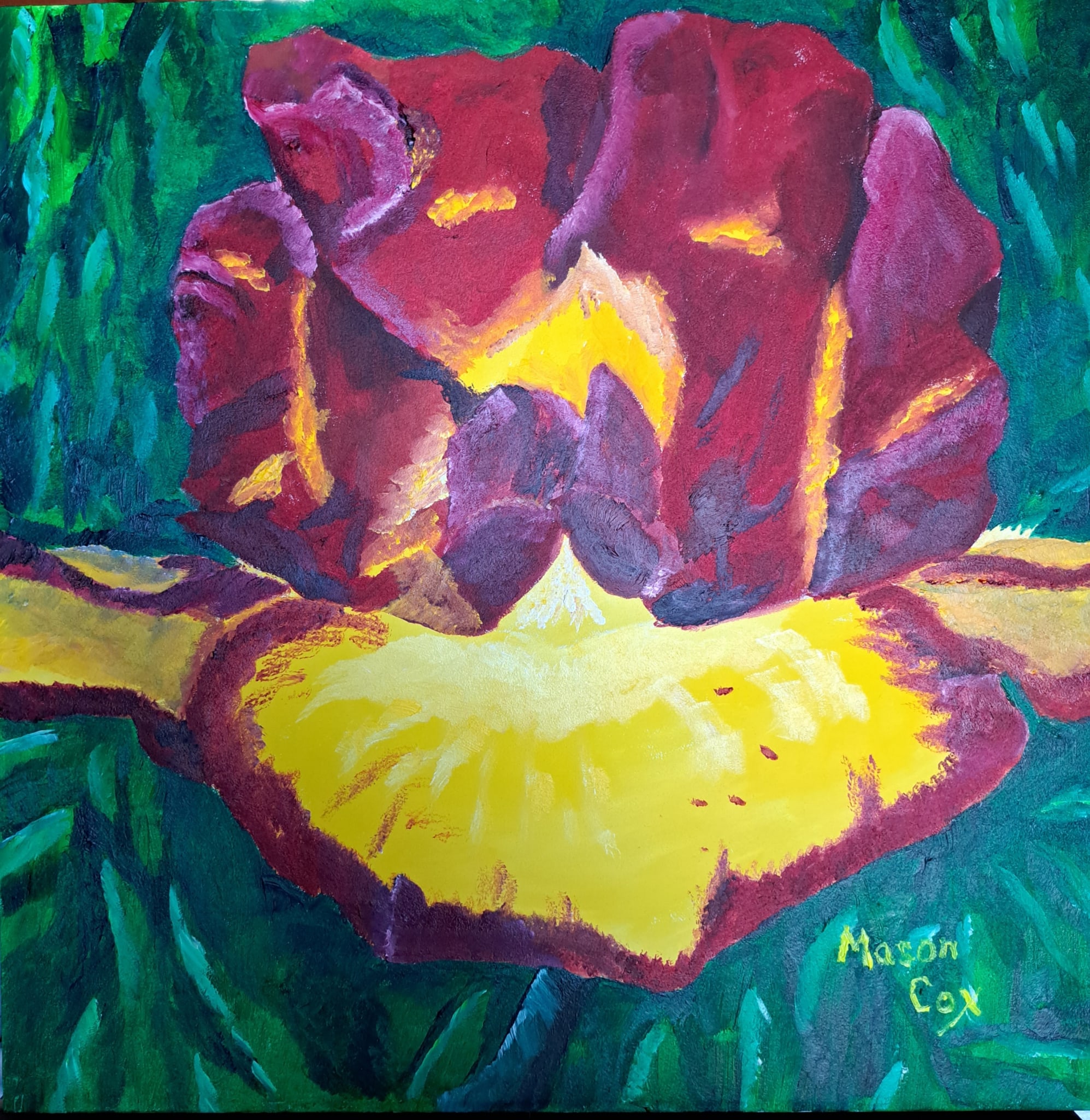 Red and Yellow Iris by Mason Cox