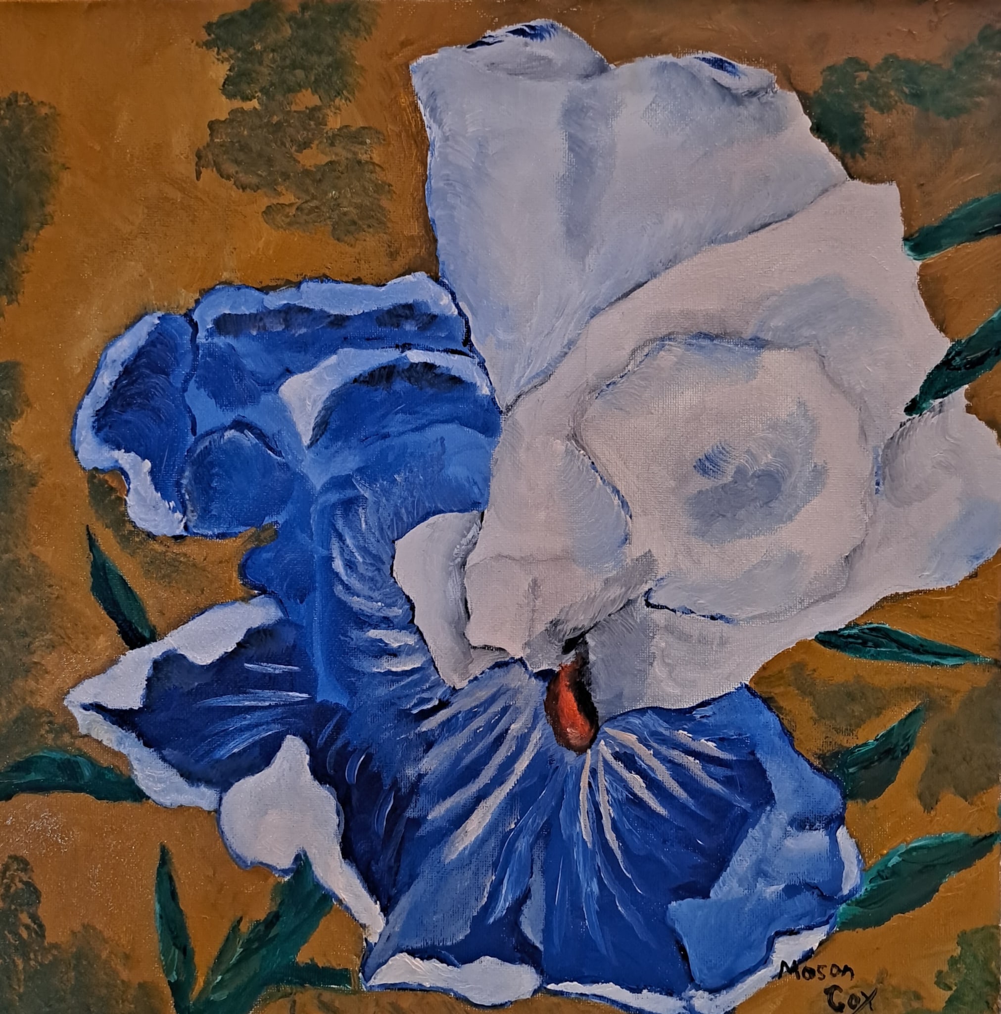 Blue Iris by Mason Cox