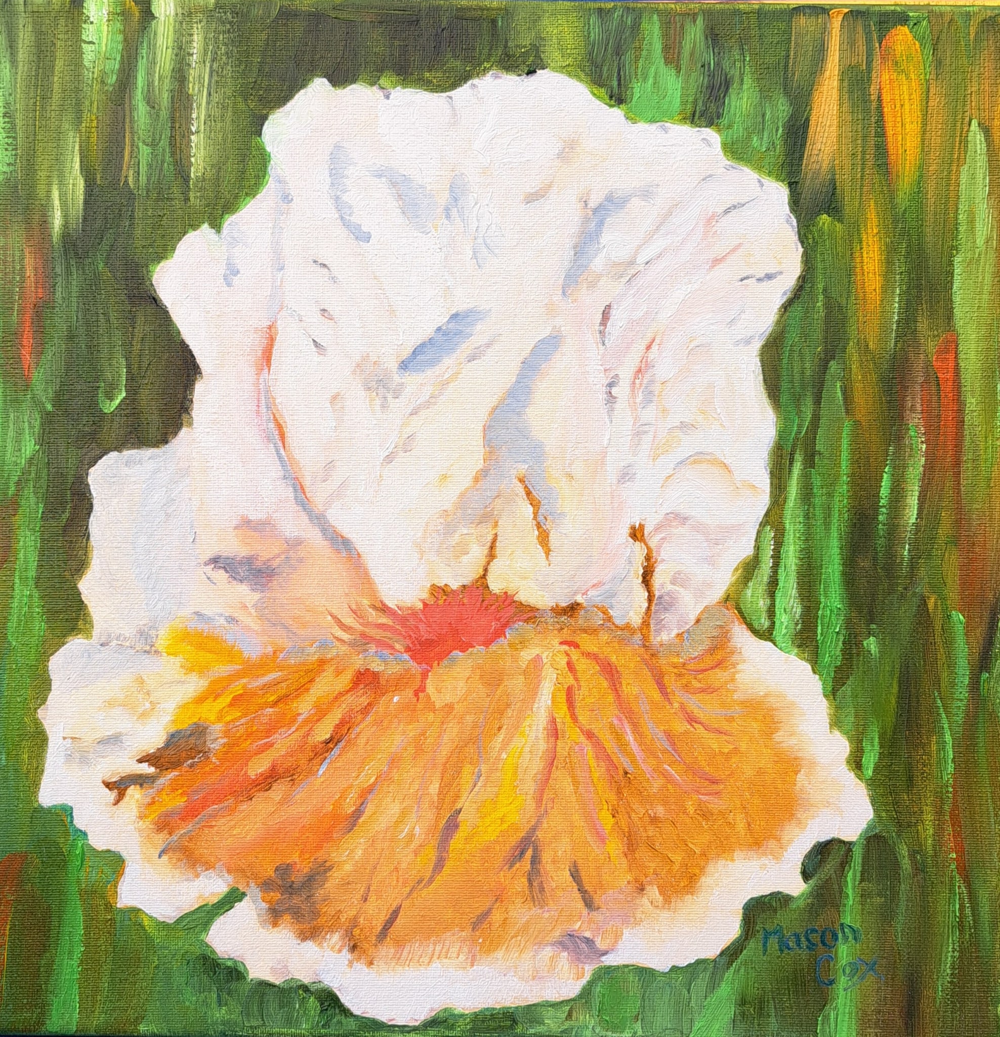 White Iris by Mason Cox