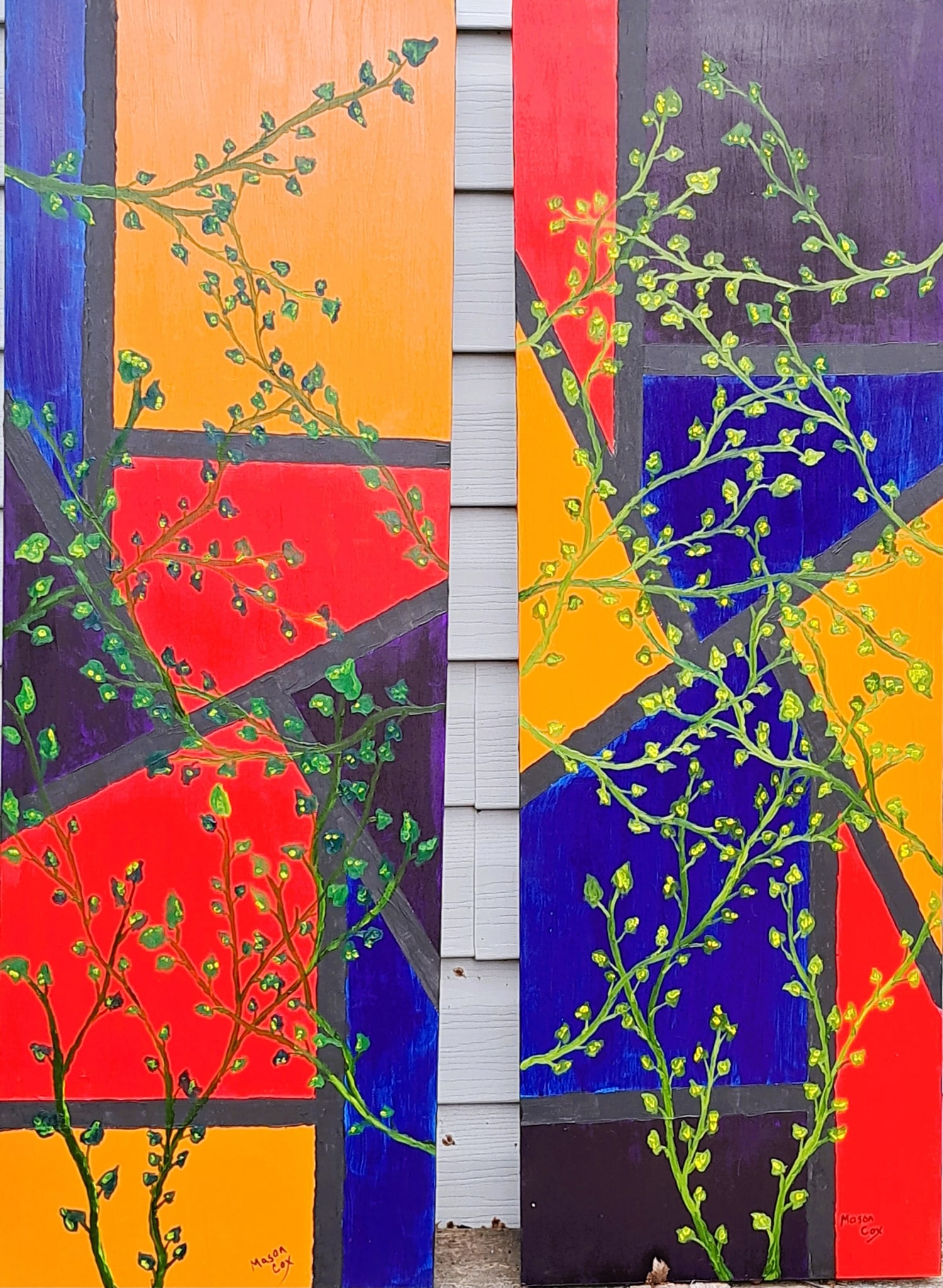 Vines by Mason Cox