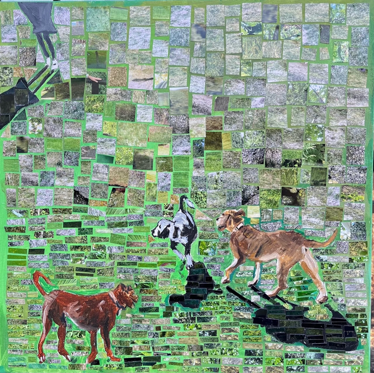 At the dog park in winter by Anna Jewel Gove