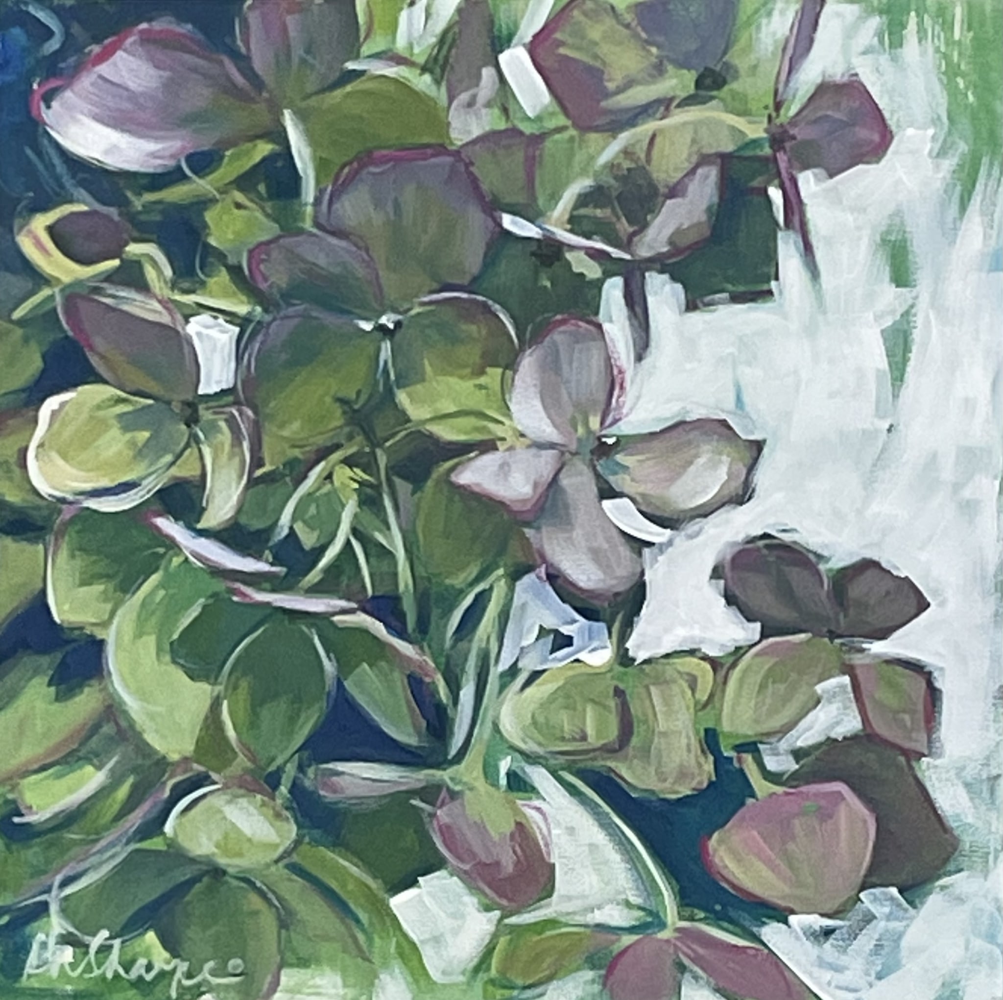 Summer Hydrangea by Grace W Sharpe