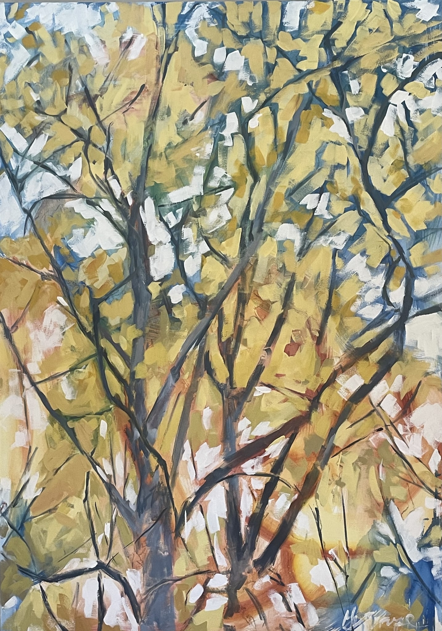 Lost in the Trees by Grace W Sharpe