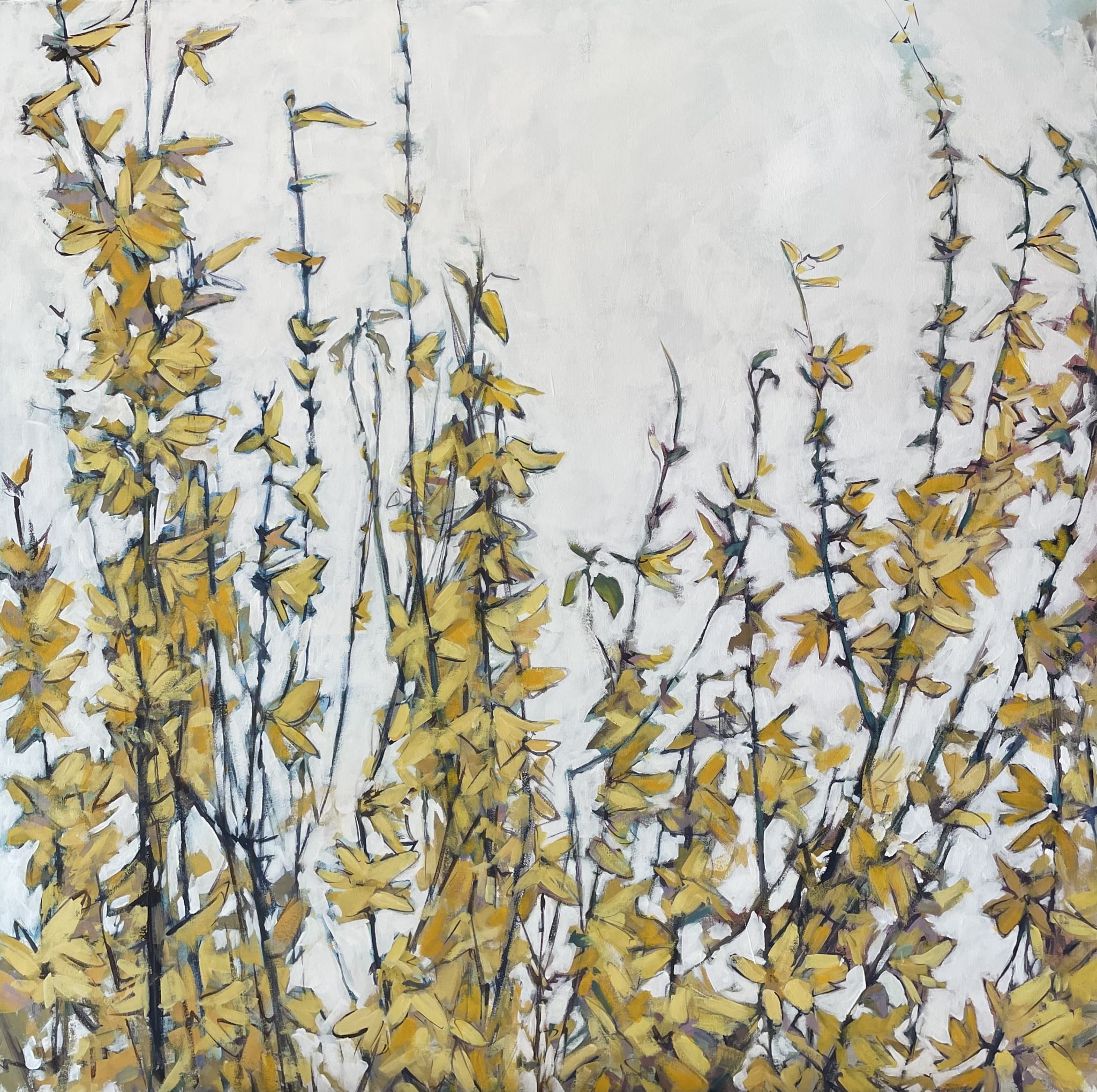 Blue Bird by Grace W Sharpe