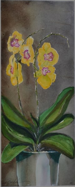 Yellow Orchid in Bloom by Lin Beribak