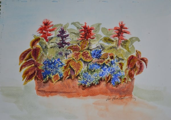 Coleus and Salvia by Lin Beribak